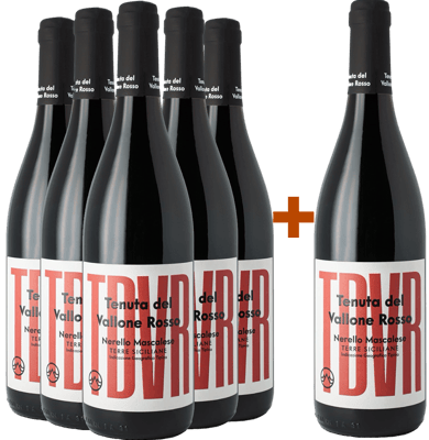 5+1 TDVR Nerello Mascalese 2023