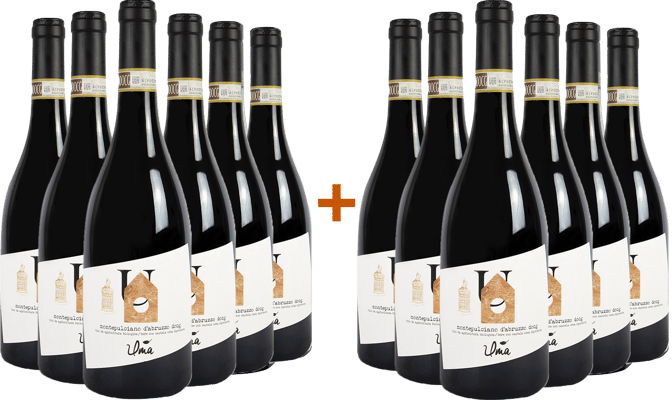 6+6 Montepulciano d'Abruzzo Colline Teramane DOCG BIO BIO