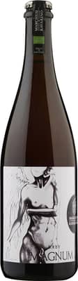 2022 Baby Magnum Lambrusco di Sorbara DOC BIO