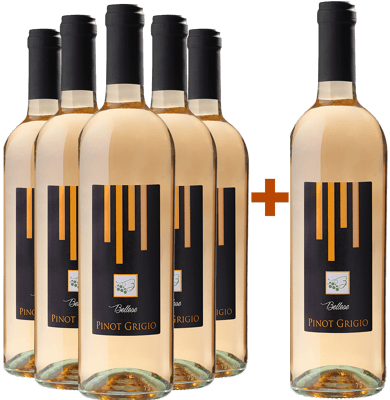 5+1 Pinot Grigio Venezie DOC