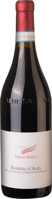 2022 Barbera D'Alba DOC