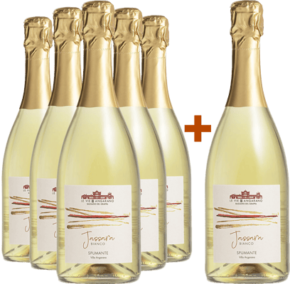 5+1 Jassara Bianco Veneto IGP BIO BIO