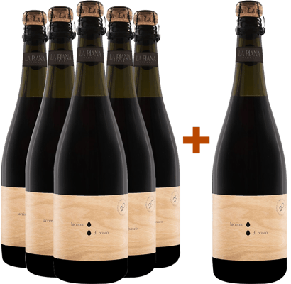 5+1 Lacrime di Bosco Lambrusco Grasparossa di Castelvetro DOC BIO