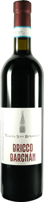2023 Bricco Bargnàn Barrique Barbera del Monferrato DOC