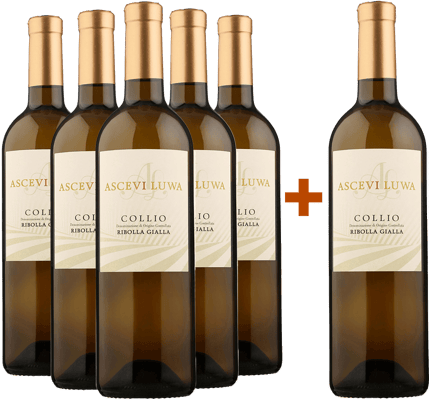 5+1 Ribolla Gialla Collio Goriziano DOC