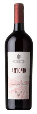 2020 Antonio Rosso Asolo Montello DOC
