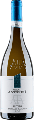 2024 Lutum Trebbiano d'Abruzzo DOC