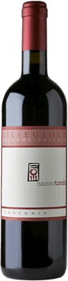 2023 Sasssotondo Rosso Ciliegiolo Maremma Toscana DOC BIO