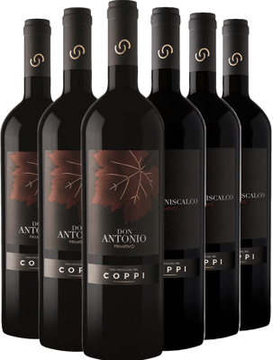 Cantina Coppi Box Degustazione Primitivo