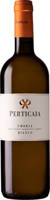 2023 Grechetto Umbria IGP