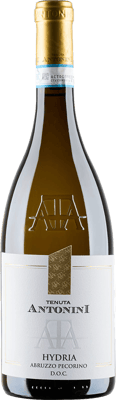 2024 Hydria Pecorino d'Abruzzo DOC