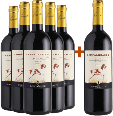 5+1 Camp'Albracco Toscana IGP