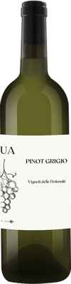 2023 Pinot Grigio Vigneti delle Dolomiti IGP