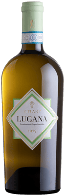2024 Lugana DOC