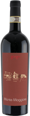 2023 Podere Monte Maggiore Bardolino Superiore DOCG