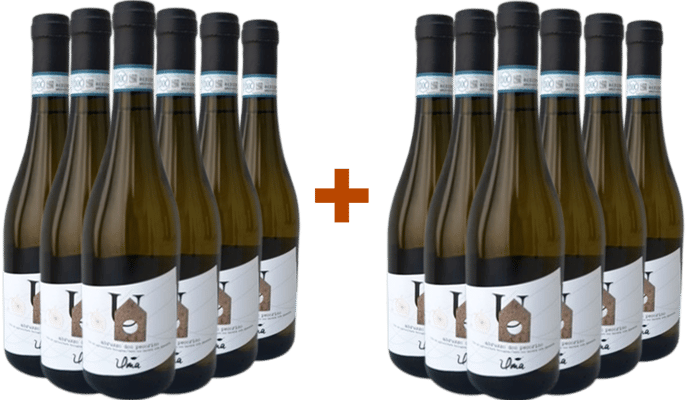 6+6 Pecorino Abruzzo DOC BIO