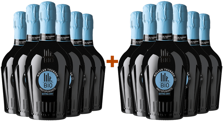 6+6 Spumante Müller Thurgau