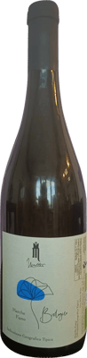 2022 Fiano Marche IGP BIO