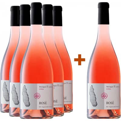 5+1 Rosé Vigneti delle Dolomiti IGP