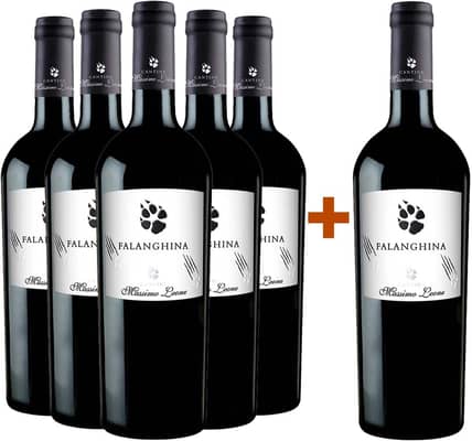 5+1 Falanghina Puglia IGP