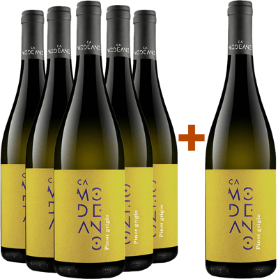 5+1 Pinot Grigio Friuli DOC