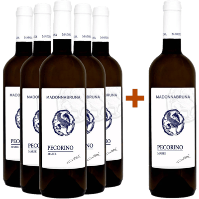 5+1 Maree Falerio Pecorino DOC