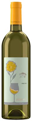 2023 Friulano Friuli Aquileia DOC