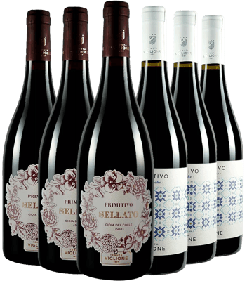 Tenuta Viglione Box Primitivo BIO