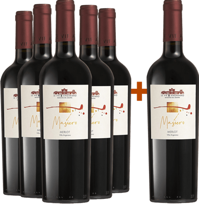 5+1 Masiero Riserva Breganze DOC BIO BIO