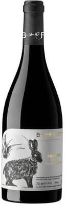 2023 Sauvignon Friuli DOC