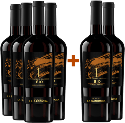 4+2 Carignano del Sulcis DOC BIO
