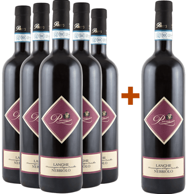 5+1 Nebbiolo Langhe DOC
