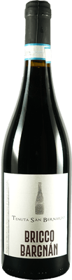 2023 Bricco Bargnàn Barbera del Monferrato DOC