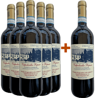 5+1 Valpolicella Ripasso Classico DOC