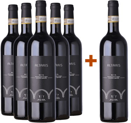 5+1 Altaris Nizza DOCG