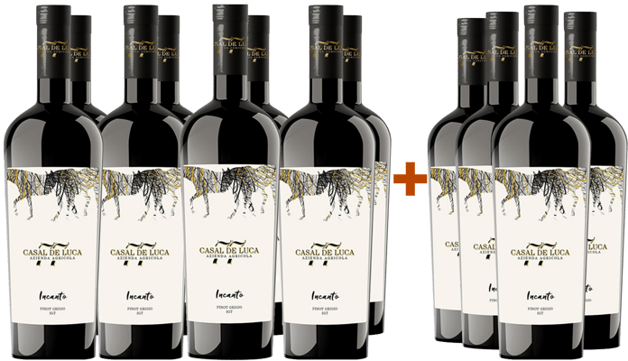 8+4 Incanto Pinot Grigio Lazio IGP BIO
