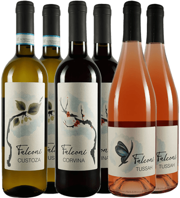Falconi Liviana Box Degustazione Veneto