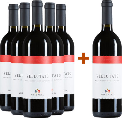 5+1 Vellutato Rosso Piceno Superiore DOC 5+1 Vellutato Rosso Piceno Superiore DOC