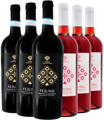 Tenuta Santo Stasi Box Degustazione Primitivo