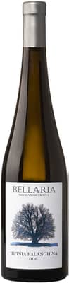 2024 Falanghina Irpinia DOC