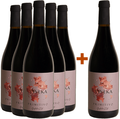 5+1 Primitivo Puglia IGP