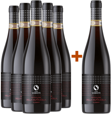 5+1 Amarone della Valpolicella Classico DOCG