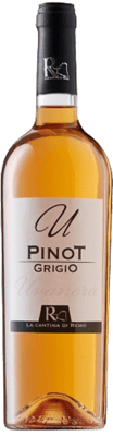 2022 Pinot Grigio Terre degli Osci IGP