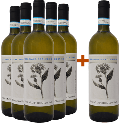 5+1 Trebbiano Spoletino Spoleto DOC