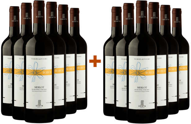 6+6 Robur Merlot Toscana IGP