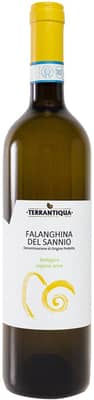 2023 Falanghina Sannio DOC BIO 2023 Falanghina Sannio DOC BIO