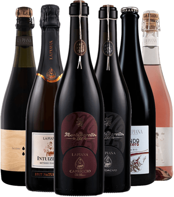 La Piana Winery Box degustazione Lambrusco DOC BIO