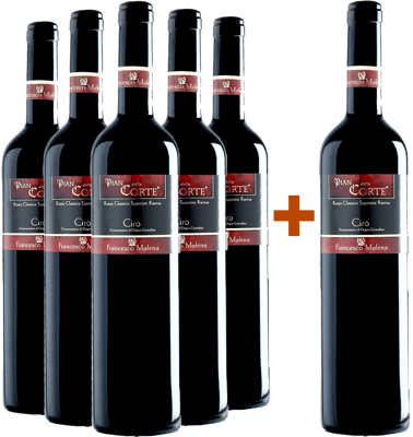 5+1 Pian della Corte Rosso Classico Superiore Riserva Ciró DOC