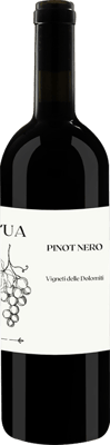 2023 Pinot Nero Vigneti delle Dolomiti IGP