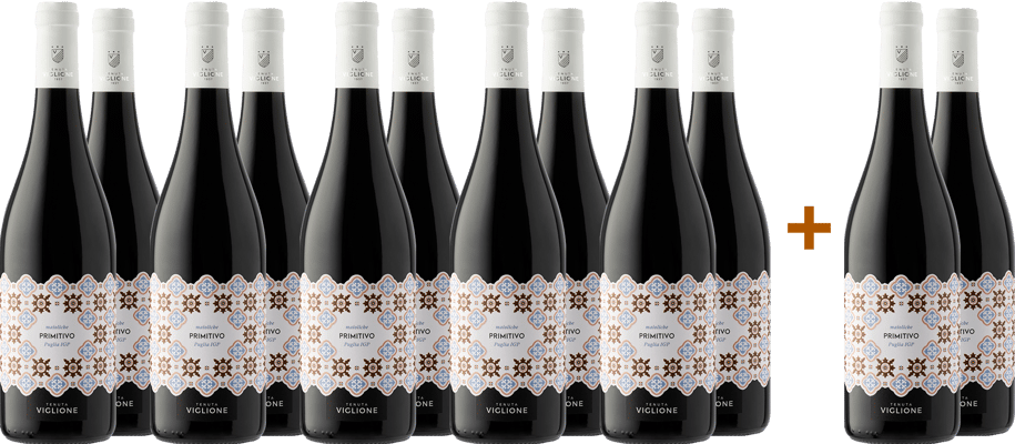 10+2 Maioliche Primitivo Puglia IGP BIO